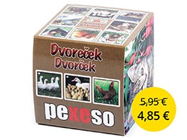 Pexeso v krabičke Dvorček